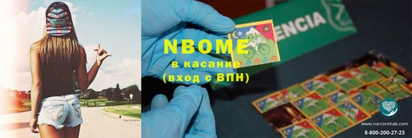 индика Алзамай