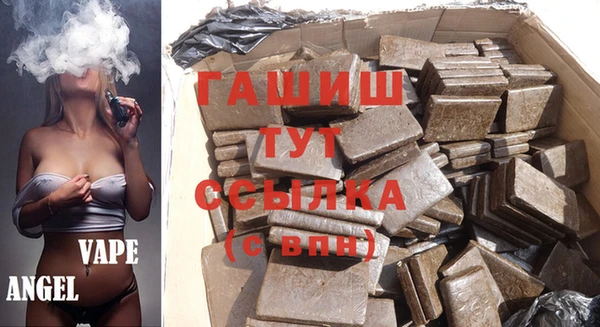 индика Алзамай