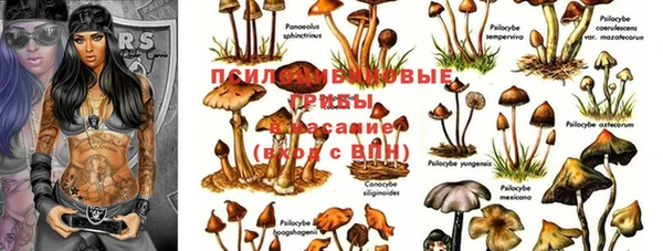 герыч Алексин