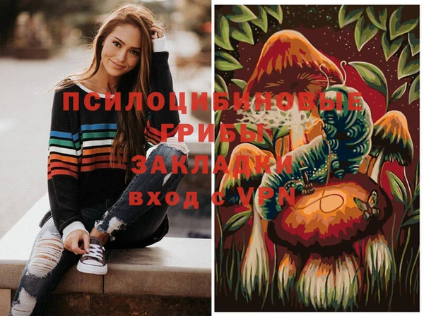 индика Алзамай