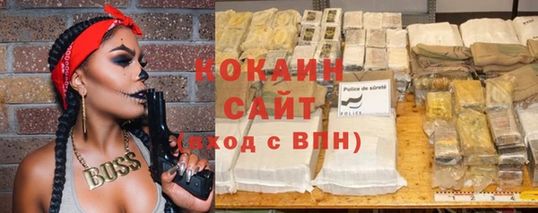 индика Алзамай