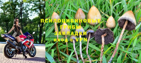 шишки Россошь