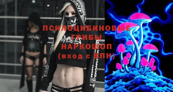 герыч Алексин
