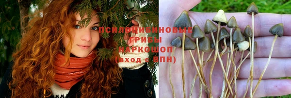 индика Алзамай