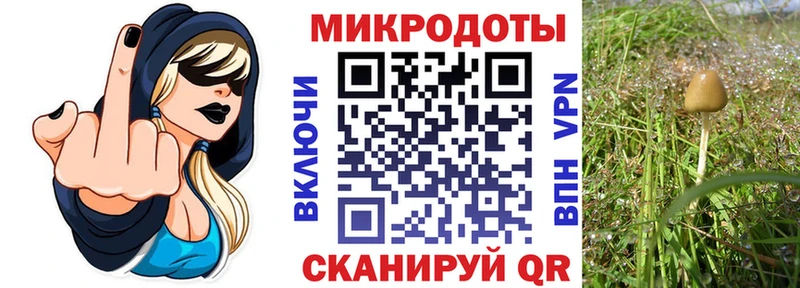 купить наркотики сайты  ссылка на мегу ссылки  Галлюциногенные грибы GOLDEN TEACHER  Арамиль 